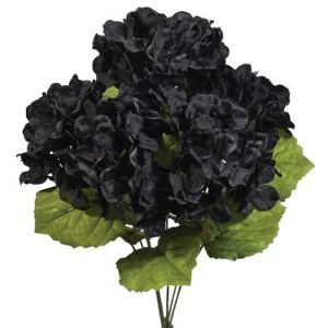 Hydrangea Bush x5, 17