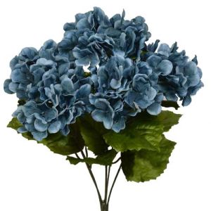 Hydrangea Bush x5, 17