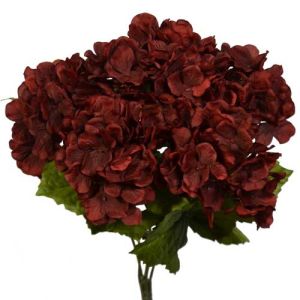 Hydrangea Bush x5, 17