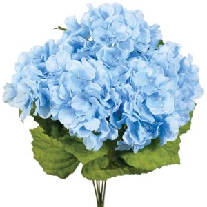 Hydrangea Bush x5, 17' - French Blue
