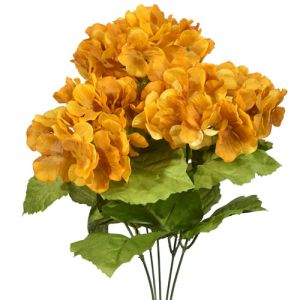Hydrangea Bush x5, 17