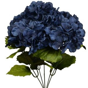 Hydrangea Bush x5, 17
