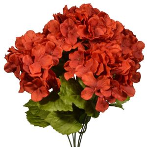 Hydrangea Bush x5, 17