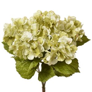 PWH2085- Our silk hydrangea bush includes 5 stems and comes in 35 Vibrant colors. 