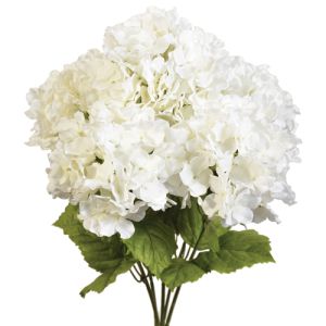 PWH2095- Our premium silk hydrangea includes 5 stems and is available in 2 colors. 