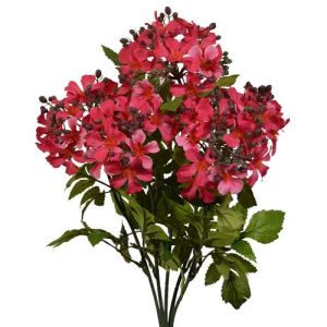 Wild Hydrangea Bush x5, 21