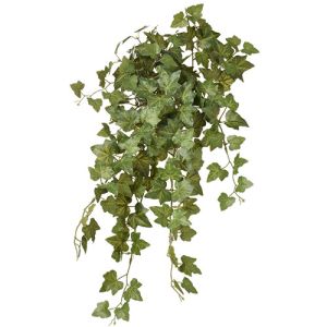 Mini Ivy Leaf Hanging Bush 15