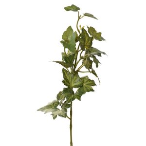 Mini Ivy Leaf Spray 15