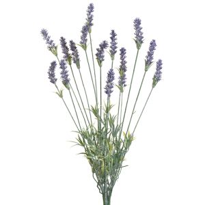 Lavender Bush x15, 24