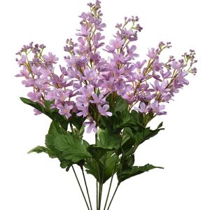 Lilac Bush x8, 20