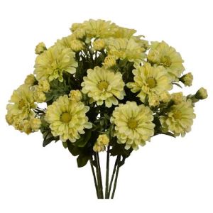 Zinnia Bush x7, 15