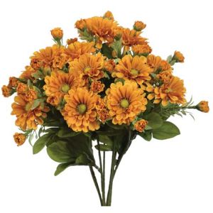 Zinnia Bush x7, 15