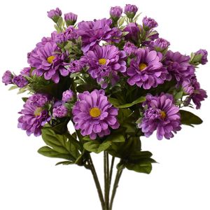 Zinnia Bush x7, 15