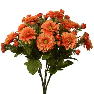 Zinnia Bush x7, 15