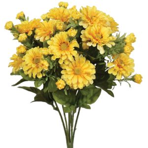 Zinnia Bush x7, 15