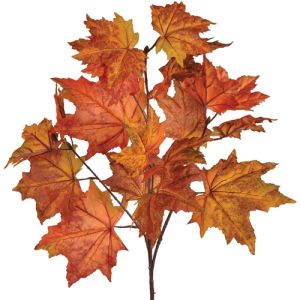 Maple Leaves Spray 30