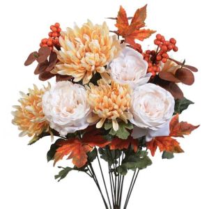 Mixed Mum, Rose & Berry Bush x14, 22.5