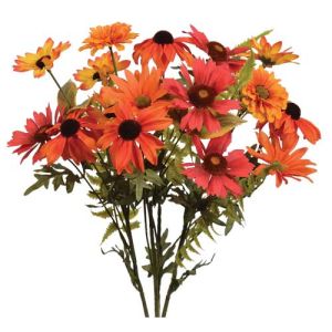 Mixed Daisy, Zinnia & Wheel Flower Bush x4, 17