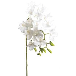 Dendrobium Orchid Spray 36