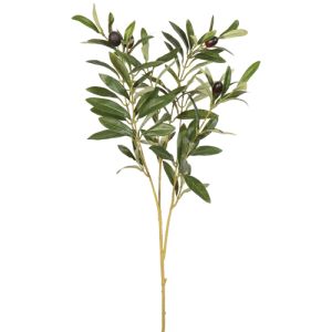 Olive Spray x3, 30
