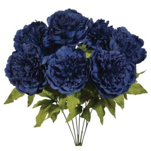 Peony Bush x7, 19