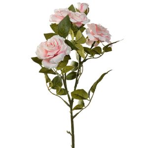 Rose Spray x5, 20