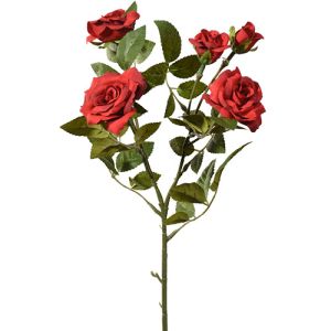 Rose Spray x5, 20