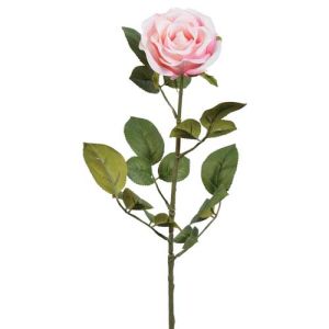 Premium Open Rose Stem 29
