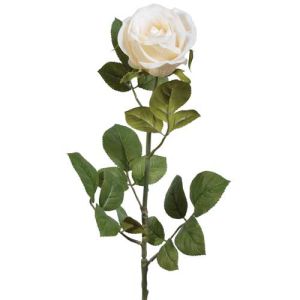 Premium Open Rose Stem 29