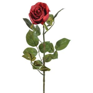 Premium Open Rose Stem 29