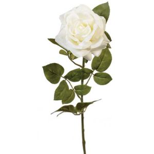 Premium Open Rose Stem 30