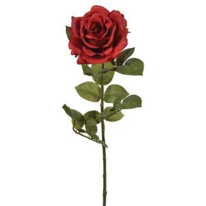 Premium Open Rose Stem 30