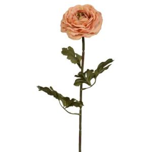 Ranunculus Stem 22.5