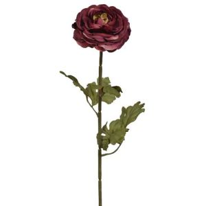Ranunculus Stem 22.5