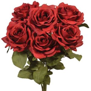 Premium Open Rose Bush x6, 20