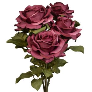 Premium Open Rose Bush x6, 20