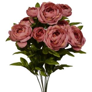 Ranunculus Bush x9, 18.5