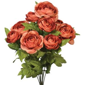 Ranunculus Bush x9, 18.5