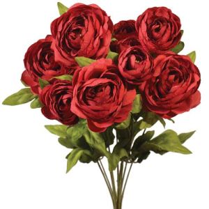 Ranunculus Bush x9, 18.5