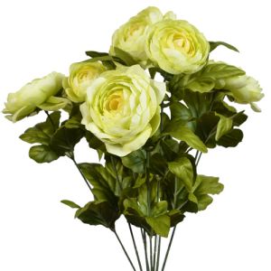 Ranunculus Bush x9, 18.5