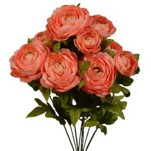 Ranunculus Bush x9, 18.5