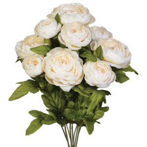 Ranunculus Bush x9, 18.5