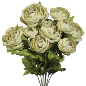 Ranunculus Bush x9, 18.5