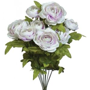 Ranunculus Bush x9, 18.5