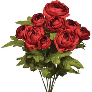 Ranunculus Bush x9, 18.5