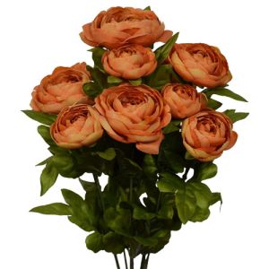 Ranunculus Bush x9, 18.5