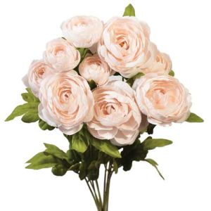 Ranunculus Bush x9, 18.5