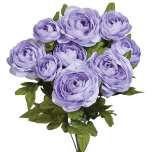 Ranunculus Bush x9, 18.5