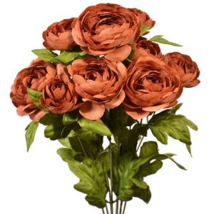 Ranunculus Bush x9, 18.5
