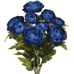 Ranunculus Bush x9, 18.5